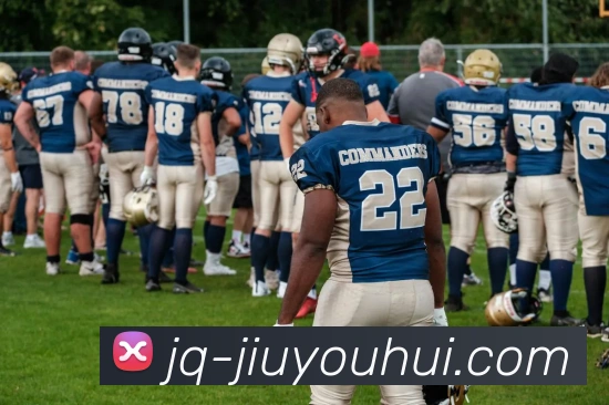 App Interface Preview